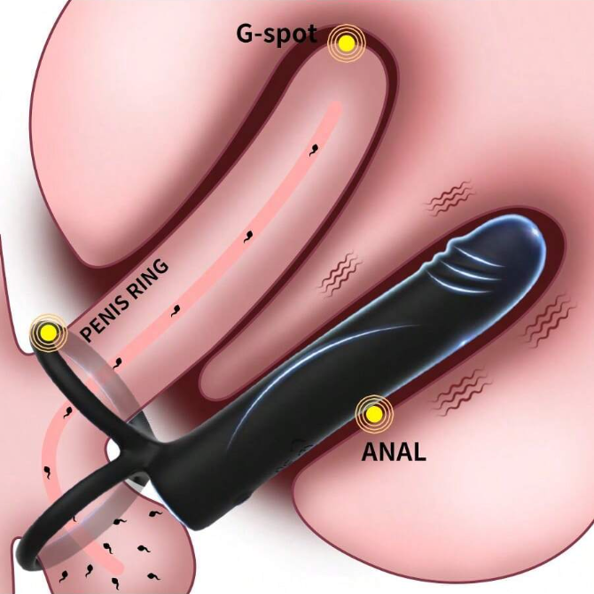 Vibrirajoči analni dildo s paščkom in obročkom za penis